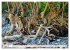 Strandgut Szenen (hochwertiger Premium... - Bild 13