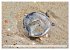 Strandgut Szenen (hochwertiger Premium... - Bild 4