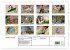 Strandgut Szenen (hochwertiger Premium... - Bild 5