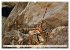 Strandgut Szenen (hochwertiger Premium... - Bild 10