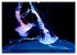 In der Welt der Medusen (hochwertiger... - Bild 14