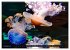 In der Welt der Medusen (hochwertiger... - Bild 3