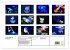 In der Welt der Medusen (hochwertiger... - Bild 5
