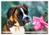 Muskelprotz Boxer (hochwertiger Premium... - Bild 10