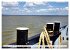 Elbfähre - Glückstadt-Wischhafen... - Bild 10