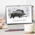 Wildschweine - Wildlife Fotografien... - Bild 2