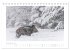 Wildschweine - Wildlife Fotografien... - Bild 5