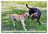 Beste Buddys (hochwertiger Premium... - Bild 11