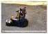 Beste Buddys (hochwertiger Premium... - Bild 13