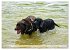 Beste Buddys (hochwertiger Premium... - Bild 14