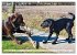Beste Buddys (hochwertiger Premium... - Bild 3