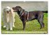 Beste Buddys (hochwertiger Premium... - Bild 6