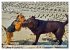 Beste Buddys (hochwertiger Premium... - Bild 9
