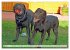Beste Buddys (hochwertiger Premium... - Bild 10