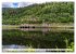 Schwarzwald - Das Murgtal (Wandkalender... - Bild 11