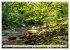 Schwarzwald - Das Murgtal (Wandkalender... - Bild 9