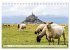 Welterbe Mont-Saint-Michel... - Bild 10