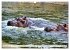 Das Wasser brodelt - Flusspferde im... - Bild 4