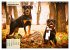 Mein Rottweiler. Nervenstarker... - Bild 15