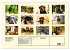Fotogalerie Fotogalerie