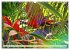 Dschungelwelt - Artwork (Wandkalender... - Bild 15