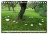 Pilze - tolle Funde (Tischkalender 2026... - Bild 10