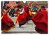 Tibet bewegt (Wandkalender 2026 DIN A4... - Bild 11