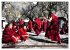 Tibet bewegt (Wandkalender 2026 DIN A4... - Bild 14