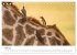 Botswana - Eine spannende Reise in ein... - Bild 11