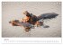 Botswana - Eine spannende Reise in ein... - Bild 13