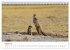 Botswana - Eine spannende Reise in ein... - Bild 14