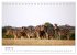 Botswana - Eine spannende Reise in ein... - Bild 7