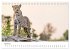Botswana - Eine spannende Reise in ein... - Bild 10