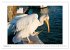 Griechischer Charme (Wandkalender 2026... - Bild 15