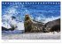 Nordseeinsel Helgoland - Ansichten der... - Bild 8