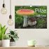 Pilze - tolle Funde (Wandkalender 2026... - Bild 2