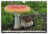 Pilze - tolle Funde (Wandkalender 2026... - Bild 13