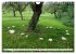 Pilze - tolle Funde (Wandkalender 2026... - Bild 10