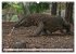 Drachen: Geheimnisvolles Tierreich... - Bild 7