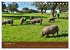 Extremadura Spanien (Tischkalender 2026... - Bild 5