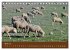 Extremadura Spanien (Tischkalender 2026... - Bild 10