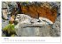 Reise nach Athen (hochwertiger Premium... - Bild 12
