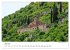 Wunderschöne Highlights der... - Bild 12