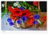 Bunte Mohnblumen - Impressionen der... - Bild 11