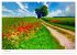 Bunte Mohnblumen - Impressionen der... - Bild 7