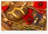 Bunte Mohnblumen - Impressionen der... - Bild 10