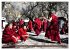 Tibet bewegt (Wandkalender 2026 DIN A2... - Bild 14