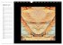 LiTH-Os Antlitze des Sandsteins von ID... - Bild 8