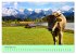 Zauber der Alpen (Wandkalender 2026 DIN... - Bild 4