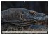 Drachen: Geheimnisvolles Tierreich... - Bild 12